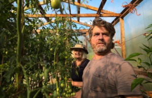 O charmoso ‘This Is a Gardening Show’ de Zach Galifianakis lhe dá o que pensar O charmoso 'This Is a Gardening Show' de Zach Galifianakis lhe dá o que pensar