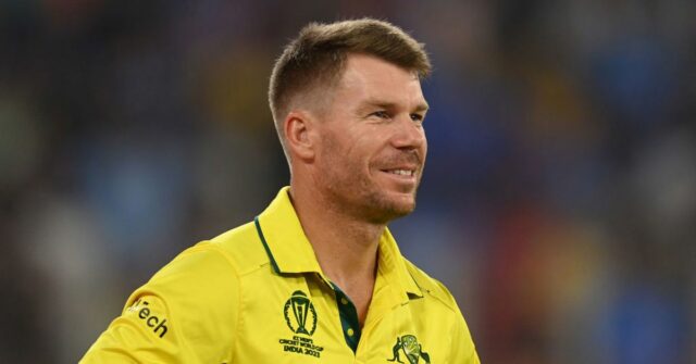 David Warner da Austrália.