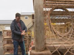 O início mais precoce da temporada de lagosta na primavera do PEI está se mostrando um desafio em alguns portos Um homem é retratado em um cais com armadilhas para lagostas em primeiro plano.