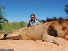 O milionário caçador norte-americano de 75 anos é pisoteado até a morte por cinco elefantes enquanto caçava antílopes na África Central O proprietário de um vinhedo californiano Ernie Dosio, 75 anos, fotografado com um leão morto, foi emboscado e morto por cinco elefantes enquanto caçava