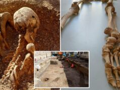 O mistério se aprofunda quando esqueletos com ferimentos de espada são encontrados embaixo da escola primária O mistério se aprofunda quando esqueletos com ferimentos de espada são encontrados embaixo da escola primária