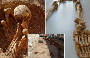 O mistério se aprofunda quando esqueletos com ferimentos de espada são encontrados embaixo da escola primária O mistério se aprofunda quando esqueletos com ferimentos de espada são encontrados embaixo da escola primária