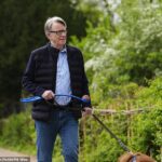 Lord Mandelson (foto hoje) foi nomeado embaixador da Grã-Bretanha nos EUA, apesar de ter falhado nas verificações de segurança