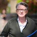 Segue-se a revelação do ex-embaixador nos EUA, Peter Mandelson, ter falhado na verificação de segurança. Mandelson é fotografado ontem perto de sua casa em Londres passeando com seu cachorro