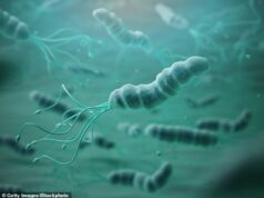 O teste de saliva caseiro pode detectar sinais precoces de câncer de estômago, que muitas vezes é diagnosticado tarde demais devido a sintomas “vagos”, afirma novo estudo Helicobacter pylori (H. pylori) é um tipo de bactéria que infecta o revestimento do estômago