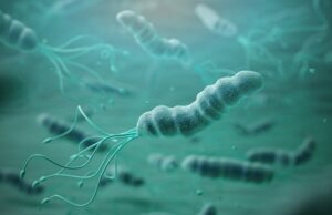 O teste de saliva caseiro pode detectar sinais precoces de câncer de estômago, que muitas vezes é diagnosticado tarde demais devido a sintomas “vagos”, afirma novo estudo Helicobacter pylori (H. pylori) é um tipo de bactéria que infecta o revestimento do estômago