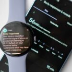 O treinador de IA do Fitbit ficou muito mais pessoal e útil