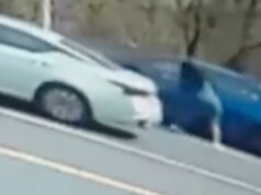 O vídeo mostra uma briga maluca de gatos na estrada que tem uma testemunha implorando ao padre por ‘uma bênção’ Imagens de vigilância mostram um carro branco e um carro azul em uma estrada.