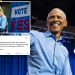 Obama se criticou por parabenizar a Virgínia por 'defender a democracia' após a votação de Gerrymander: 'Que farsa'