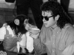 Onde estão as bolhas do chimpanzé de Michael Jackson agora? Por dentro de sua vida ‘pacífica’ e por que os cineastas usaram um chimpanzé CGI em ‘Michael’ Onde estão as bolhas do chimpanzé de Michael Jackson agora? Por dentro de sua vida ‘pacífica’ e por que os cineastas usaram um chimpanzé CGI em ‘Michael’