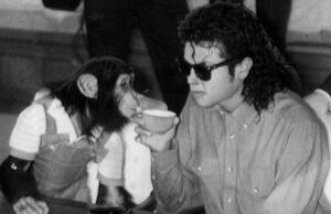 Onde estão as bolhas do chimpanzé de Michael Jackson agora? Por dentro de sua vida ‘pacífica’ e por que os cineastas usaram um chimpanzé CGI em ‘Michael’ Onde estão as bolhas do chimpanzé de Michael Jackson agora? Por dentro de sua vida ‘pacífica’ e por que os cineastas usaram um chimpanzé CGI em ‘Michael’
