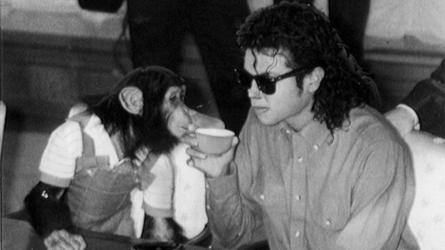 Onde estão as bolhas do chimpanzé de Michael Jackson agora? Por dentro de sua vida ‘pacífica’ e por que os cineastas usaram um chimpanzé CGI em ‘Michael’ 
