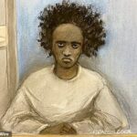 Rudakubana foi condenado à prisão perpétua e condenado a cumprir pena mínima de 52 anos pelos assassinatos de Bebe King, seis, Elsie Stancombe, sete, e Alice Aguiar, nove, que ele esfaqueou até a morte em um clube de dança com tema de Taylor Swift.