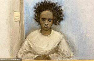 Os pais do assassino de Southport poderiam ter impedido o ataque e o autismo foi usado como desculpa, concluiu o inquérito Rudakubana foi condenado à prisão perpétua e condenado a cumprir pena mínima de 52 anos pelos assassinatos de Bebe King, seis, Elsie Stancombe, sete, e Alice Aguiar, nove, que ele esfaqueou até a morte em um clube de dança com tema de Taylor Swift.