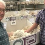 Os preços mais altos de ovelhas e lã são um fim agridoce de uma era para a família WA