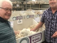 Os preços mais altos de ovelhas e lã são um fim agridoce de uma era para a família WA Os preços mais altos de ovelhas e lã são um fim agridoce de uma era para a família WA