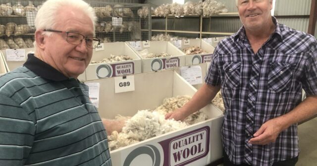 Os preços mais altos de ovelhas e lã são um fim agridoce de uma era para a família WA
