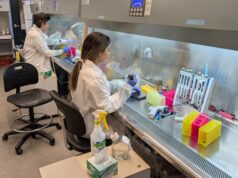 Outros países pretendem acabar com os testes em animais. No Canadá, há um assalto Uma mulher segura tecido de fígado impresso em 3D