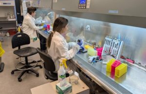 Outros países pretendem acabar com os testes em animais. No Canadá, há um assalto Uma mulher segura tecido de fígado impresso em 3D