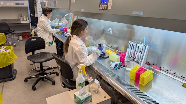 Outros países pretendem acabar com os testes em animais. No Uma mulher segura tecido de fígado impresso em 3D