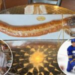 Padaria assada com pão Buffalo Sabres proibido para menores nos playoffs da Stanley Cup