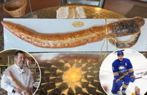 Padaria assada com pão Buffalo Sabres proibido para menores nos playoffs da Stanley Cup Padaria assada com pão Buffalo Sabres proibido para menores nos playoffs da Stanley Cup