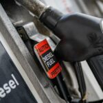 Paddock para bombear: produção de diesel Ampol cultivado em fazendas esperada até 2028