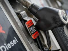 Paddock para bombear: produção de diesel Ampol cultivado em fazendas esperada até 2028 Paddock para bombear: produção de diesel Ampol cultivado em fazendas esperada até 2028