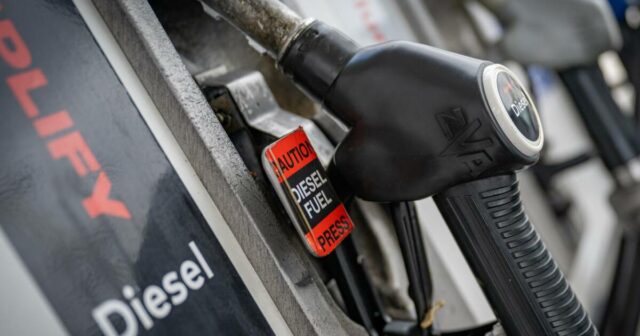 Paddock para bombear: produção de diesel Ampol cultivado em fazendas esperada até 2028
