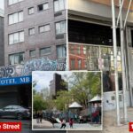 Pais reagem a criminosos sexuais que ainda espreitam em bairros de Nova York cheios de crianças