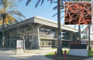 Pânico no campus enquanto estudantes universitários são expostos a doenças contagiosas resistentes a medicamentos Ilustração da bactéria da tuberculose em um organismo.