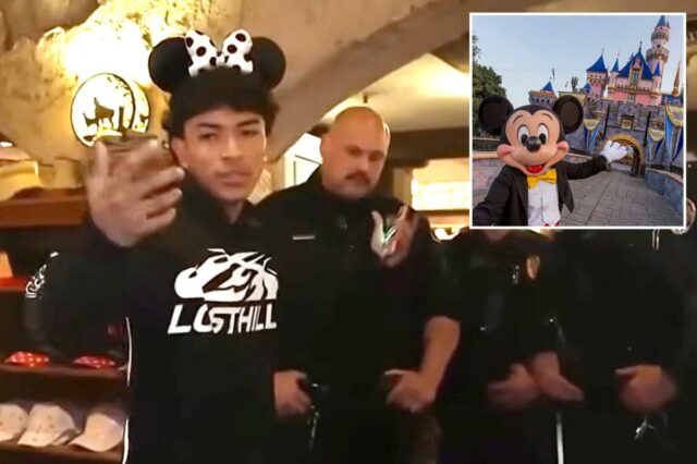 Parques Disney vão reprimir o comportamento do influenciador após incidente perturbador de 'golpe', dizem fontes

