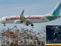 Passageira da Caribbean Airlines dá à luz a bordo de voo com destino a Nova York – enquanto autoridades do aeroporto sugerem um nome astuto para recém-nascido Um Boeing 737 da Caribbean Airlines pousa no Aeroporto Internacional John F. Kennedy em 13 de fevereiro de 2020.