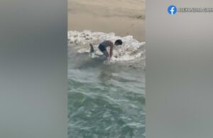 Pescador tira a roupa para libertar grande tubarão branco fisgado no píer de Hermosa Beach Um pescador entra nas ondas para libertar um tubarão-branco juvenil capturado em uma linha de pesca perto do cais de Hermosa Beach em 1º de abril de 2026. (Alexandra Garry)