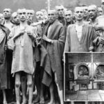 Pesquisa mostra que um número chocante de habitantes de Long Island acredita que os judeus precisam apenas 'seguir em frente' do Holocausto 'exagerado'