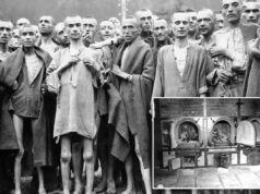 Pesquisa mostra que um número chocante de habitantes de Long Island acredita que os judeus precisam apenas ‘seguir em frente’ do Holocausto ‘exagerado’ Pesquisa mostra que um número chocante de habitantes de Long Island acredita que os judeus precisam apenas 'seguir em frente' do Holocausto 'exagerado'