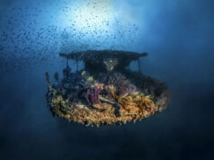 Pesquisadores da Marinha examinaram o fundo do mar e rastrearam um ping. Então eles encontraram um impressionante naufrágio de 500 anos. Yahoo news home