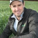 'Pior que 2021': produtores pressionam por isca ZP 50 para combater a praga de ratos