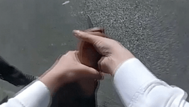 Polícia de Londres divulga câmera corporal de prisão após dois homens judeus esfaqueados
