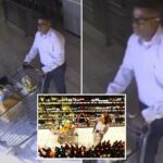 Polícia procura homem que roubou quase US$ 3 mil em vinhos de alta qualidade em supermercado de luxo
