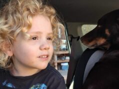 Policial de alto escalão, ‘certo’ policial retornará à casa de Gus enquanto ele espera por um ‘avanço’ Uma nova imagem de Gus Lamont foi divulgada hoje.