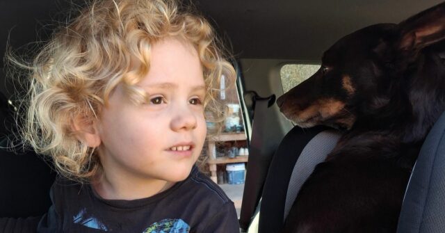 Uma nova imagem de Gus Lamont foi divulgada hoje.