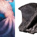 Ícone de conversão de texto em fala