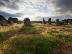 Populações humanas inteiras desapareceram há 3.000 anos. Os cientistas descobriram para onde foram. Yahoo news home