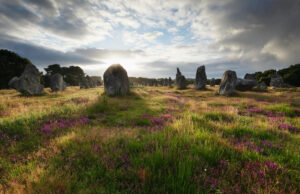 Populações humanas inteiras desapareceram há 3.000 anos. Os cientistas descobriram para onde foram. Yahoo news home