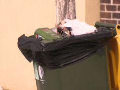 Por que lixeiras cheias estão sendo deixadas nas ruas esta semana Greve de coleta de lixo da ASU