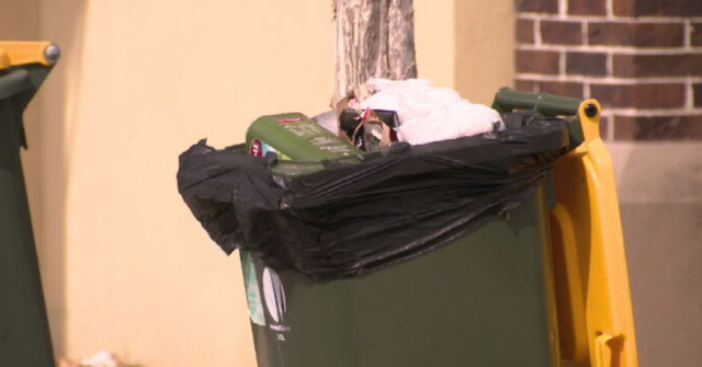 Por que lixeiras cheias estão sendo deixadas nas ruas esta Greve de coleta de lixo da ASU