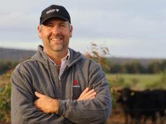 Por que o produtor de Manypeaks, Bevan Ravenhill, triplicou seu rebanho de ovelhas em 18 meses Por que o produtor de Manypeaks, Bevan Ravenhill, triplicou seu rebanho de ovelhas em 18 meses