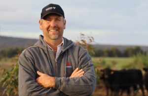 Por que o produtor de Manypeaks, Bevan Ravenhill, triplicou seu rebanho de ovelhas em 18 meses Por que o produtor de Manypeaks, Bevan Ravenhill, triplicou seu rebanho de ovelhas em 18 meses