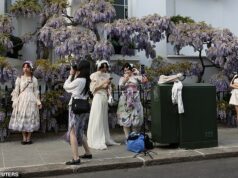 Por que ônibus lotados de turistas chineses estão migrando para o seu local de beleza favorito Turistas asiáticos tiram fotos em frente a glicínias em flor em frente a uma casa no oeste de Londres